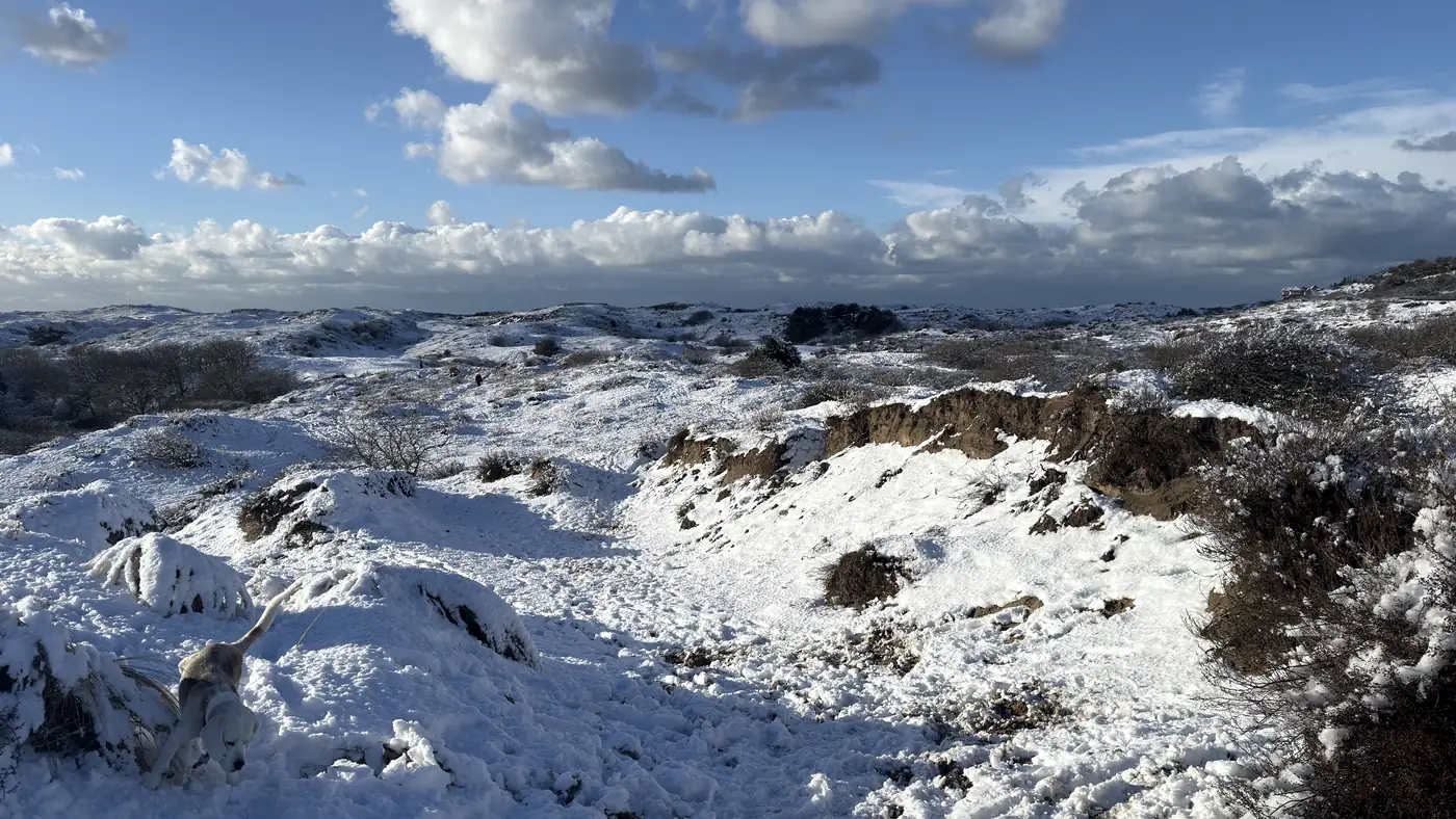 De duinen bij Noordwijk aan Zee in de winter, stil en verlaten